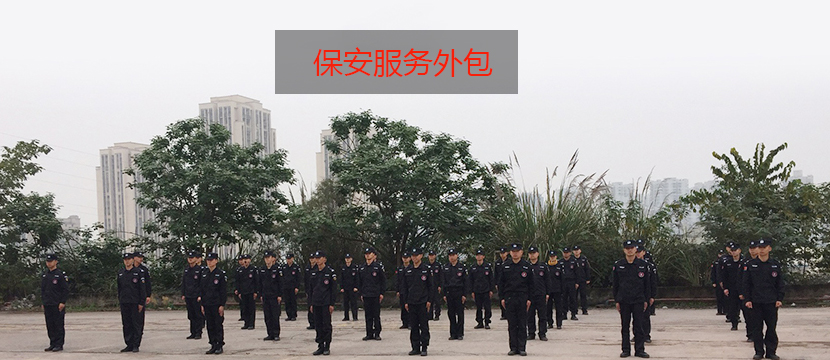重庆人力资源芭乐视频成人安卓